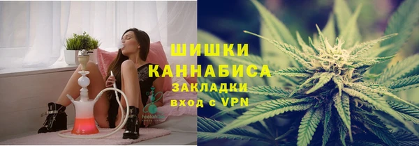 шишки Абинск