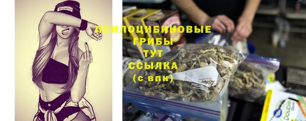 меф Новодвинск