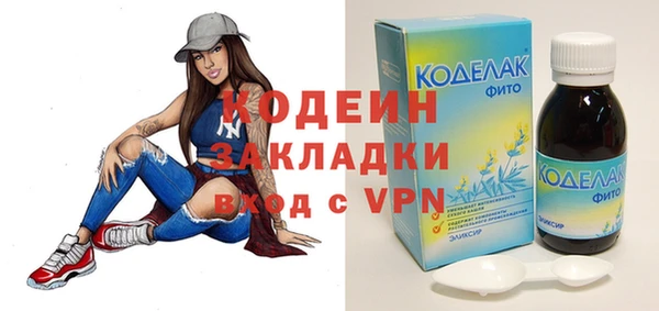 крисы Абаза