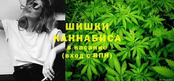 шишки Абинск