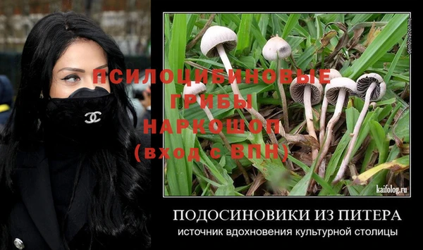 винт Анива