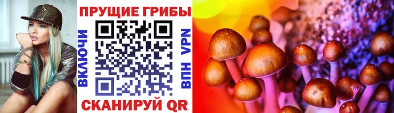 Псилоцибиновые грибы мицелий Черногорск